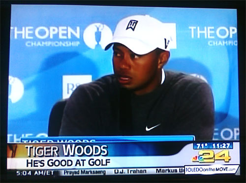 tiger_bopen