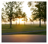 Increase your rounds per year – Sunrise Golf